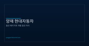 현대자동차 옵션 패키지 설명...