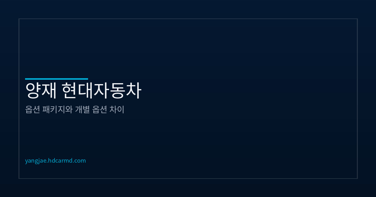 현대자동차 옵션 패키지 설명 | 상담 가이드