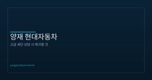 프리미엄 세단 선택 시 확인...