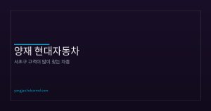 서초구 고객 차종 선호 경향...